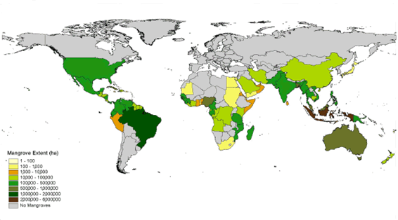 شکل 1-1 نقشه جهانی از مساحت جنگل¬های مانگرو در کشورهای مختلف دنیا