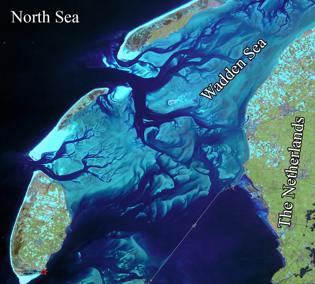 Wadden_Sea.jpg